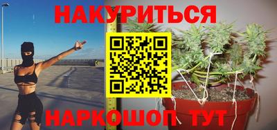 прущие грибы Малгобек
