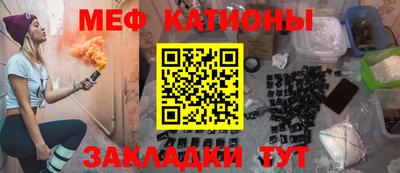 индика Можга