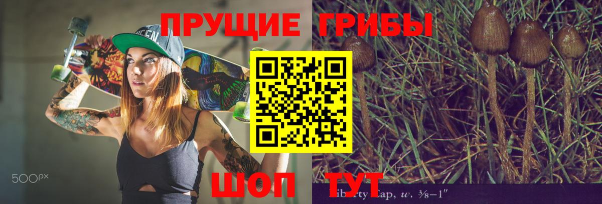 Галлюциногенные грибы GOLDEN TEACHER Грязи