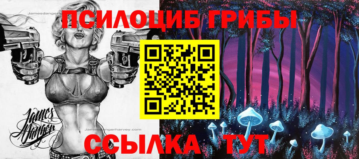 Псилоцибиновые грибы ЛСД  Вход с VPN  Грязи 